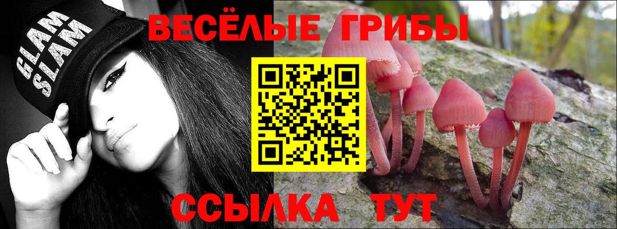 Псилоцибиновые грибы мухоморы  Вход с VPN  Златоуст 
